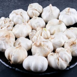 Garlic